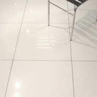 Extra White