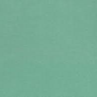 Mint Frost